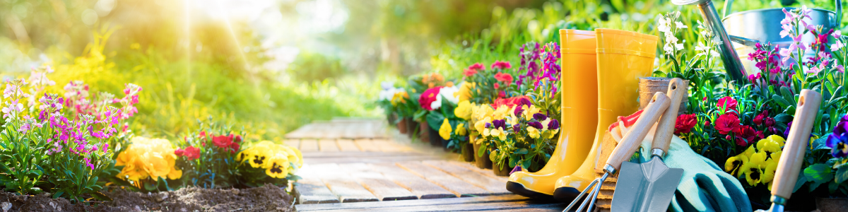 Therapeutic Benefits of Gardening By Deborah Monshin